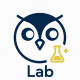 WiseOwl Lab
